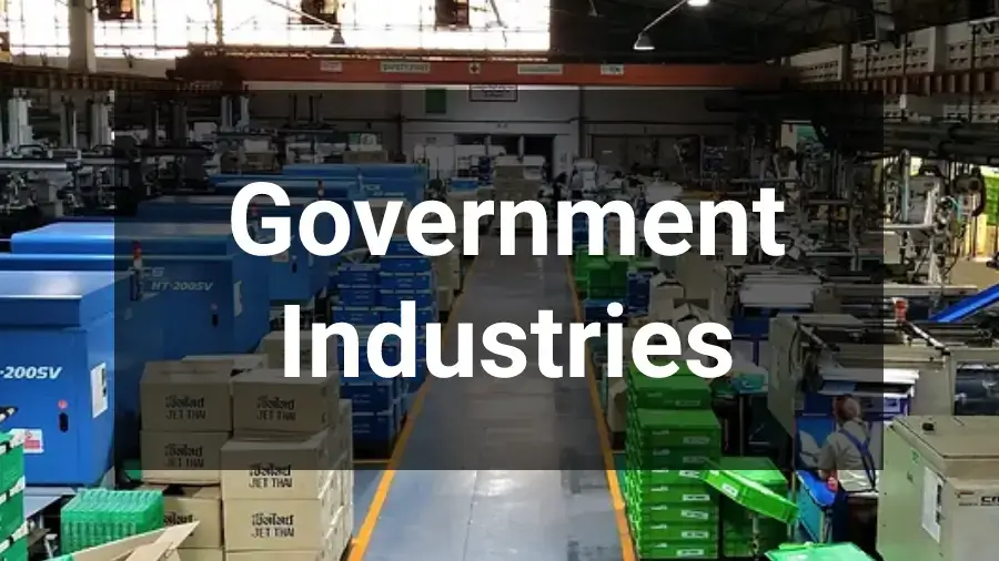 Government sector