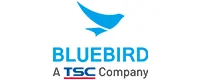 Blue-bird