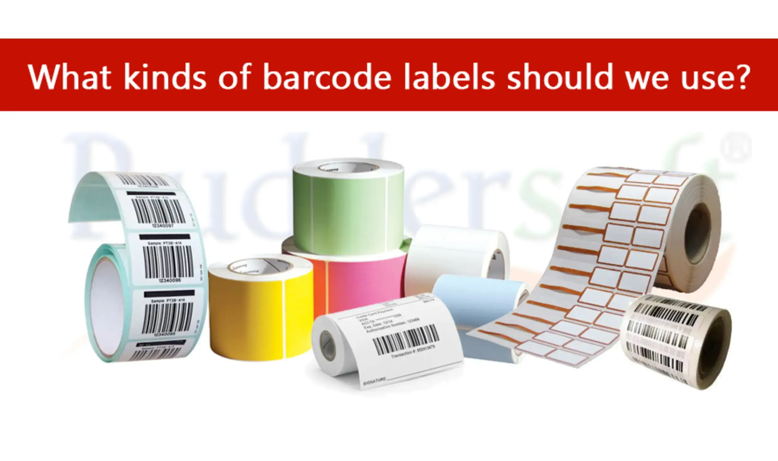 Barcode Basics: What Kind Of Barcode Labels Should We Use?